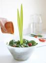 “Salad Plant” salātu piederumu komplekts